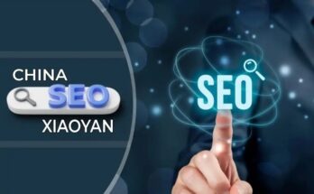 Promoting the World of SEO: Xiaoyan Technical Journey in China