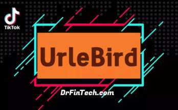 Urlebird: Perfect Social Media Platform That You Need