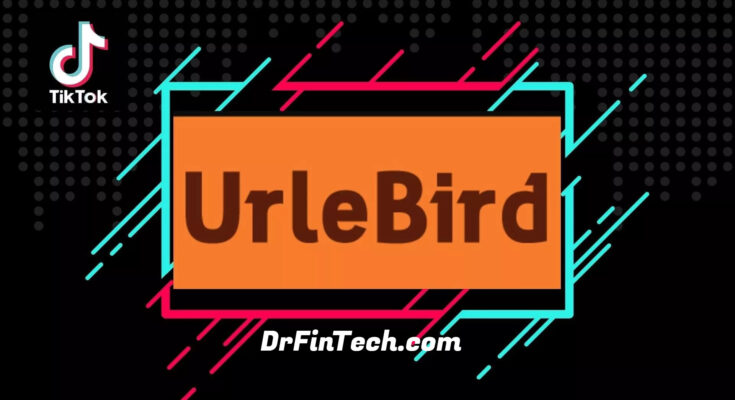 Urlebird: Perfect Social Media Platform That You Need